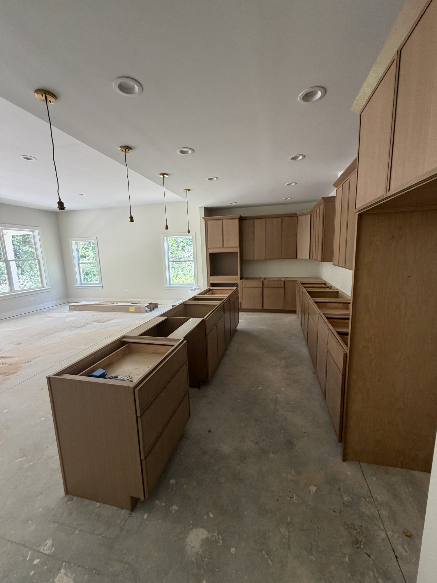 Kitchen renovation